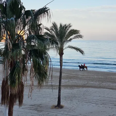 Appartement View In *